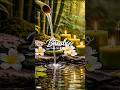 “Relaxing bamboo and water sounds ASMR for sleep, meditation, focus &amp; calm” #bamboo #relaxing #relax