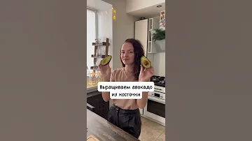 Как вырастить АВОКАДО из КОСТОЧКИ #Shorts