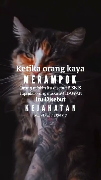 bongkar story wa #quotes #storywa #virall #tiktok #swami