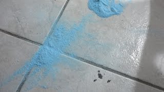 I DROPPED IT EVERYWHERE...