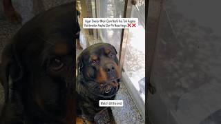 Don’t Buy a Rottweiler Dog ! #shorts #dogs #rottweiler #youtubeshorts #namitaology #trending #trend