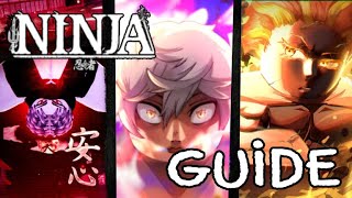 Starter Guide in NINJA