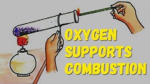 Oxygen Supports Combustion||8Th Class Lab Activity||Oxygen Helps in Burning