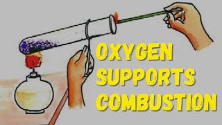 Oxygen Supports Combustion||8Th Class Lab Activity||Oxygen Helps in Burning