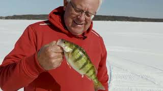 Epic Ice Fishing in Cheboygan: Monster Catches on Mullet Lake!