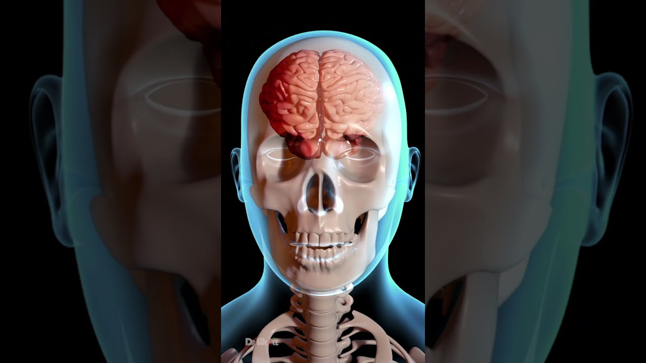 How Does A Concussion Affect Your Brain