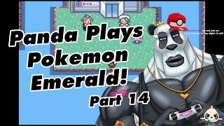Panda Plays Pokemon Emerald! Part 14 screenshot 5