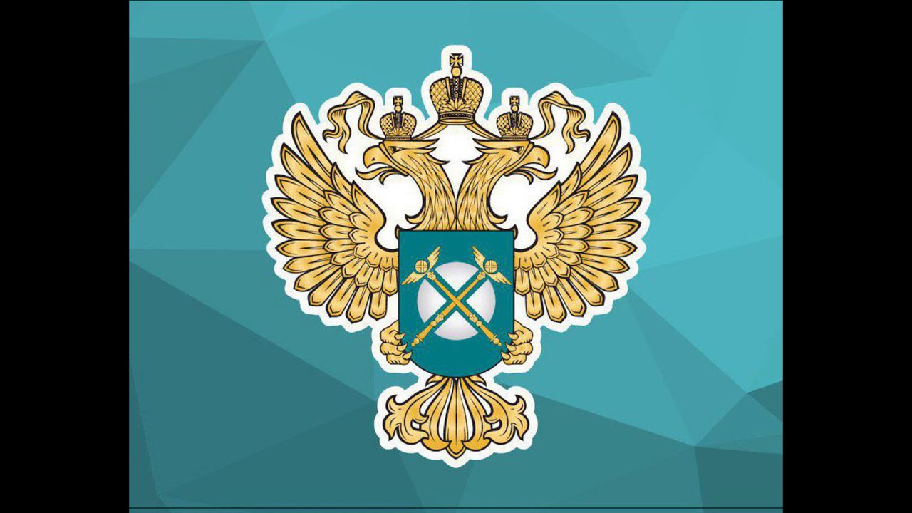 Гтрк волга турбаза