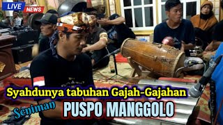 Tabuhan Gamelan Gajahgajahan Paling Syahdu Seponorogo Puspo Manggolo Desa Ngdanel Balong