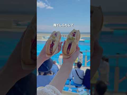【神戸・スポット】須磨シーワールドに行ってきたけどやばかった。