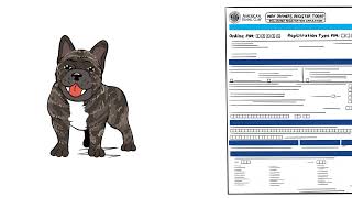 Finding and Using Your Dog’s Pin Number by American Kennel Club 1,476 views 1 month ago 1 minute, 33 seconds