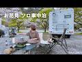 【50代女子⁉︎犬連れソロ車中泊】桜舞い散る中で気ままにお花見キャンプ｜青野原オートキャンプ場｜ Solo camping Vlog［84］