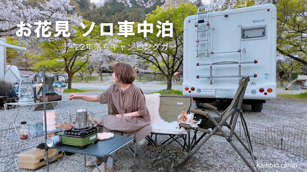 【50代女子⁉︎犬連れソロ車中泊】桜舞い散る中で気ままにお花見キャンプ｜青野原オートキャンプ場｜ Solo camping Vlog［84］