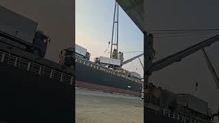 #Cargo#Discharging#Vehicle