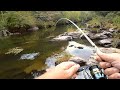 Mountain Bass SLAM the WHOPPER PLOPPER   (Amazing Day)