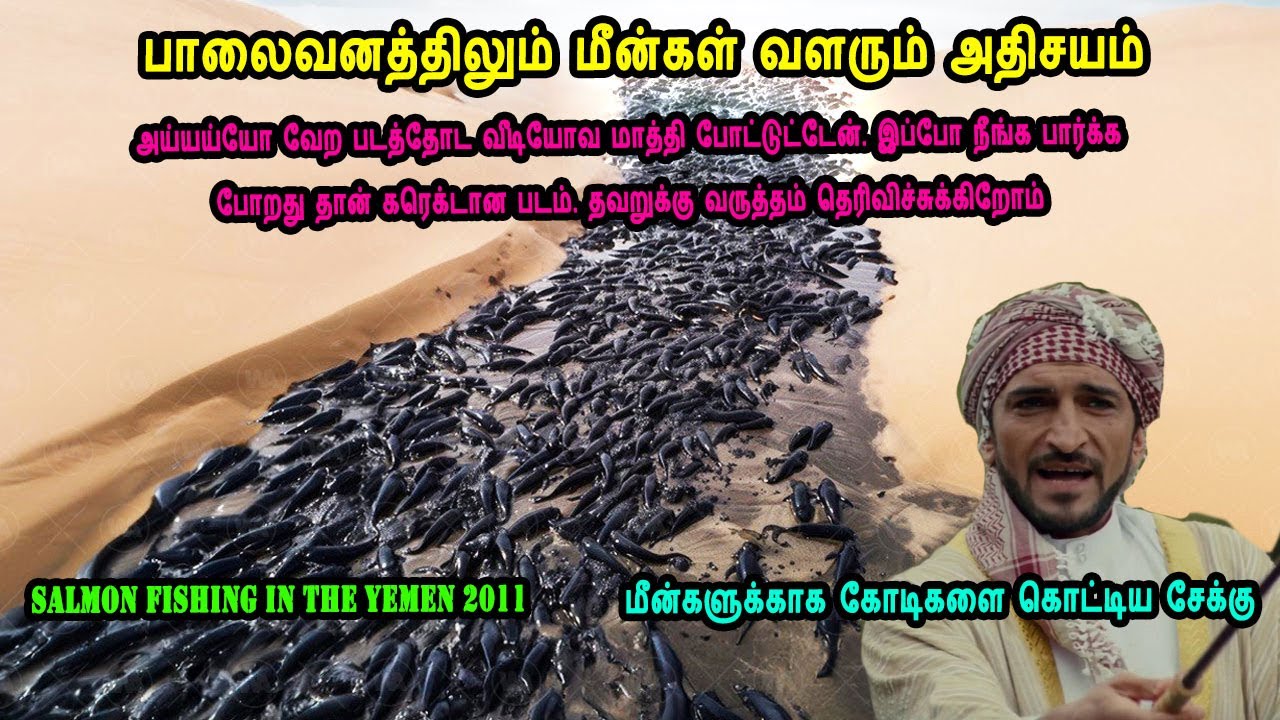 ⁣இப்போ நீங்க பார்க்க போறது தான் கரெக்டான பாலைவனத்திலும் மீன்கள் வளரும் படம் in Mr Tamilan voice over