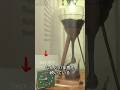 世界で最も遅い実験