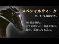 【駆け抜けた王道】スペシャルウィーク🏇👑