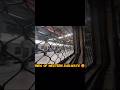 Gunda of #westernrailway #trending #youtubeshorts #railway #centralrailways #viral #reach#race#gunda