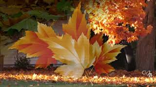 *** -  KAREN SARGSYAN   *  BEAUTIFUL AUTUMN  -  ***   /Superb  relaxing music/