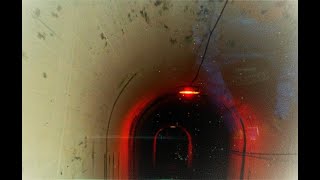 SCP 2786