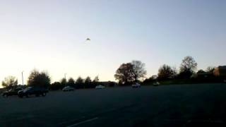 Garbage bag kite