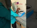 qc lab project #bhojpurisong #cocroach #cocroach #vlogs #fastvedio