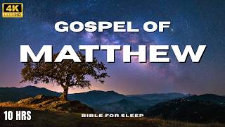 LIVE All Night Fall Asleep with the Gospel of Matthew NKJV Bible Reading for Anxiety Rest