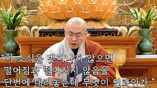 [대혜어록 18] 깨달은 사람도 인과에 떨어집니까? #대혜종고 #선불교