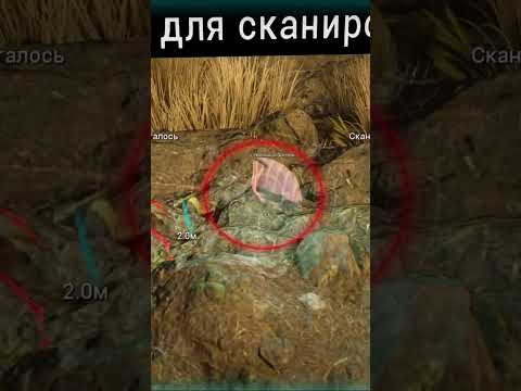 Warframe / дозор Cайи / Cтеклянные осколки