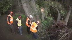 From Those Who Know: Hamilton Tree Service | Vermeer Tree Care Equipment