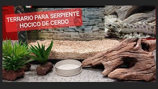 TERRARIO PARA SERPIENTE HOCICO DE CERDO