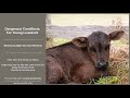April 20, 2026 Weekly Weather and Hazards Briefing