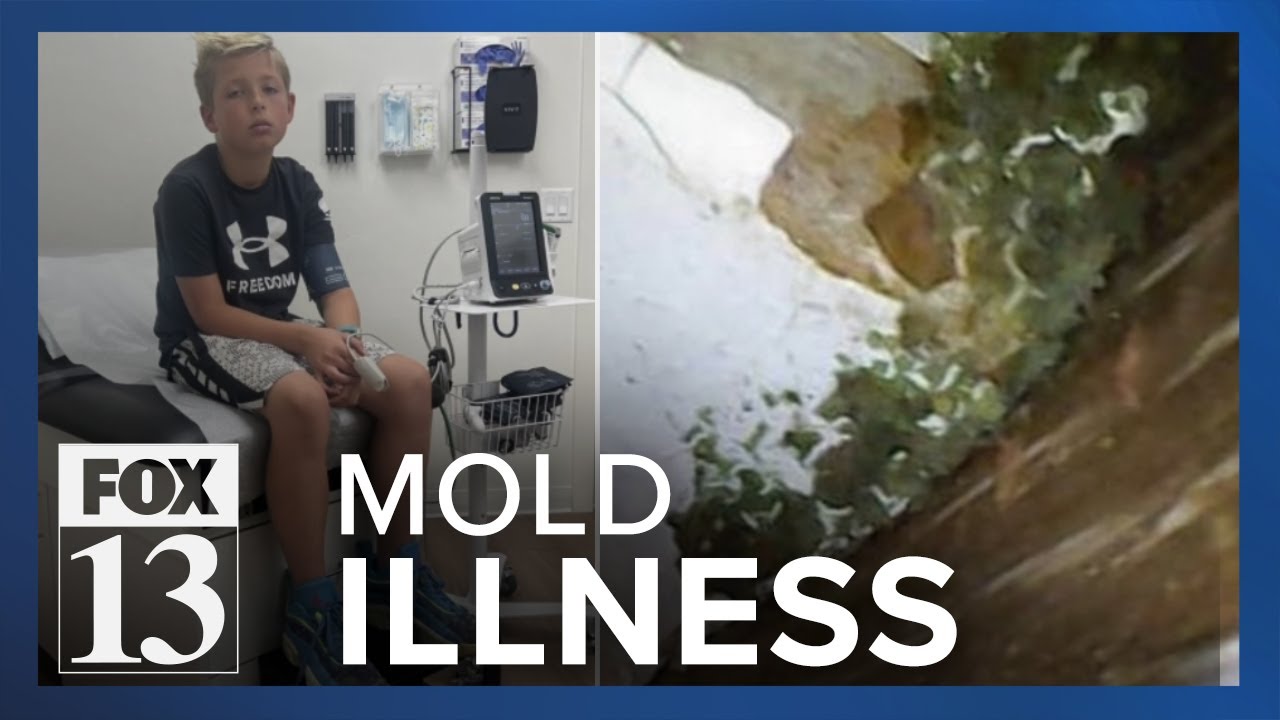 Family claims mold in Santa Clara home caused nightmare of illness