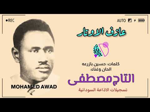 التاج مصطفى عازف الاوتار