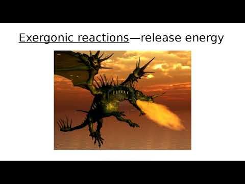 2b Chapter 2 part b - YouTube