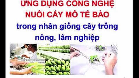 Bài 6: Ứng dụng CN nuôi cấy mô TB trong nhân giống cây trồng nông, lâm nghiệp