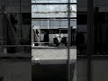 遠足