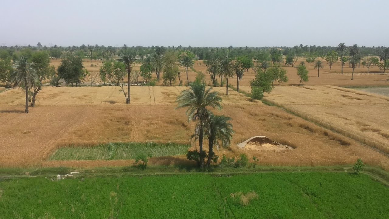 Aerial View D.G Khan Punjab Village Pakistan 2017 HD