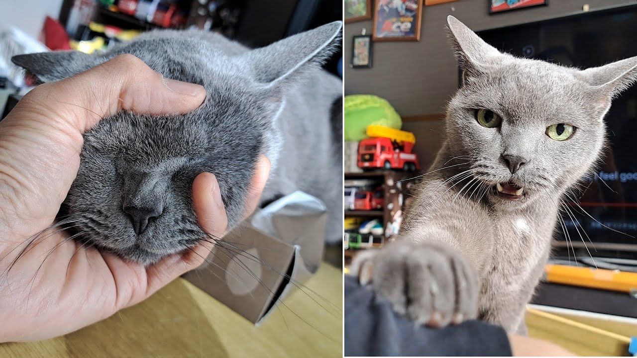 maxresdefault.jpg