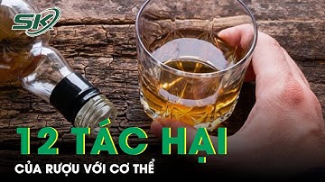 12 Tác Hại Của Rượu Với Cơ Thể Bạn Cần Biết | SKĐS