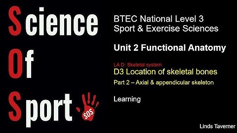 Unit 2 Functional Anatomy - D3 Location of skeletal bones (Part 2) Axial & appendicular skeleton