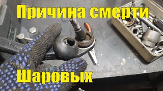 Почему умирают ШАРОВЫЕ