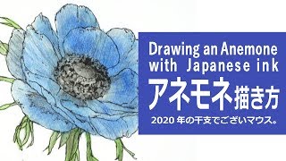 ペンと水彩絵の具とパステルのイラスト 描き方 制作過程 花 アネモネ How To Draw An Anemone Flower Youtube