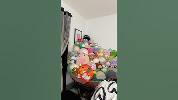 I think I have an addiction😭😅😂 #collector #squishmallows