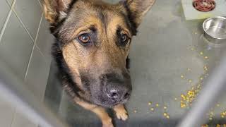 acs A666591