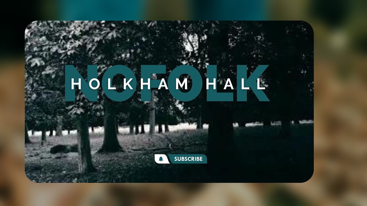 Deers at Holkham Hall