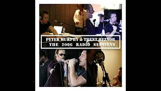 Famous TRENT REZNOR (NIN) & Peter Murphy (2006) Radio Sessions [FM audio] Net Worth
