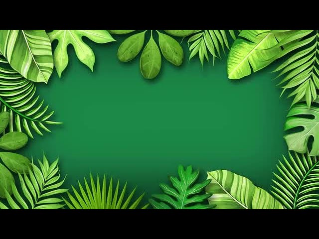 Jungle Animation Stock Motion Graphics - YouTube