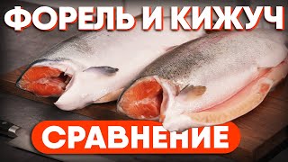 Чем Форель отличается от Кижуча? Обзор и сравнение красной рыбы.  Разделка лососевых рыб